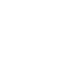 Skyline Safety Logo